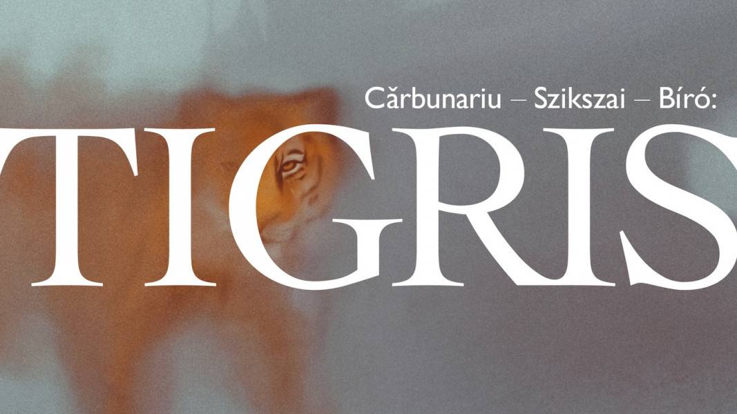 Egy Budapesten szabadon kószáló tigris történetét mutatja be a Stúdió K