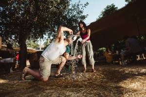 Jövőre jubilál a Művészetek Völgye - megérkeztek a 35. alkalom első nevei