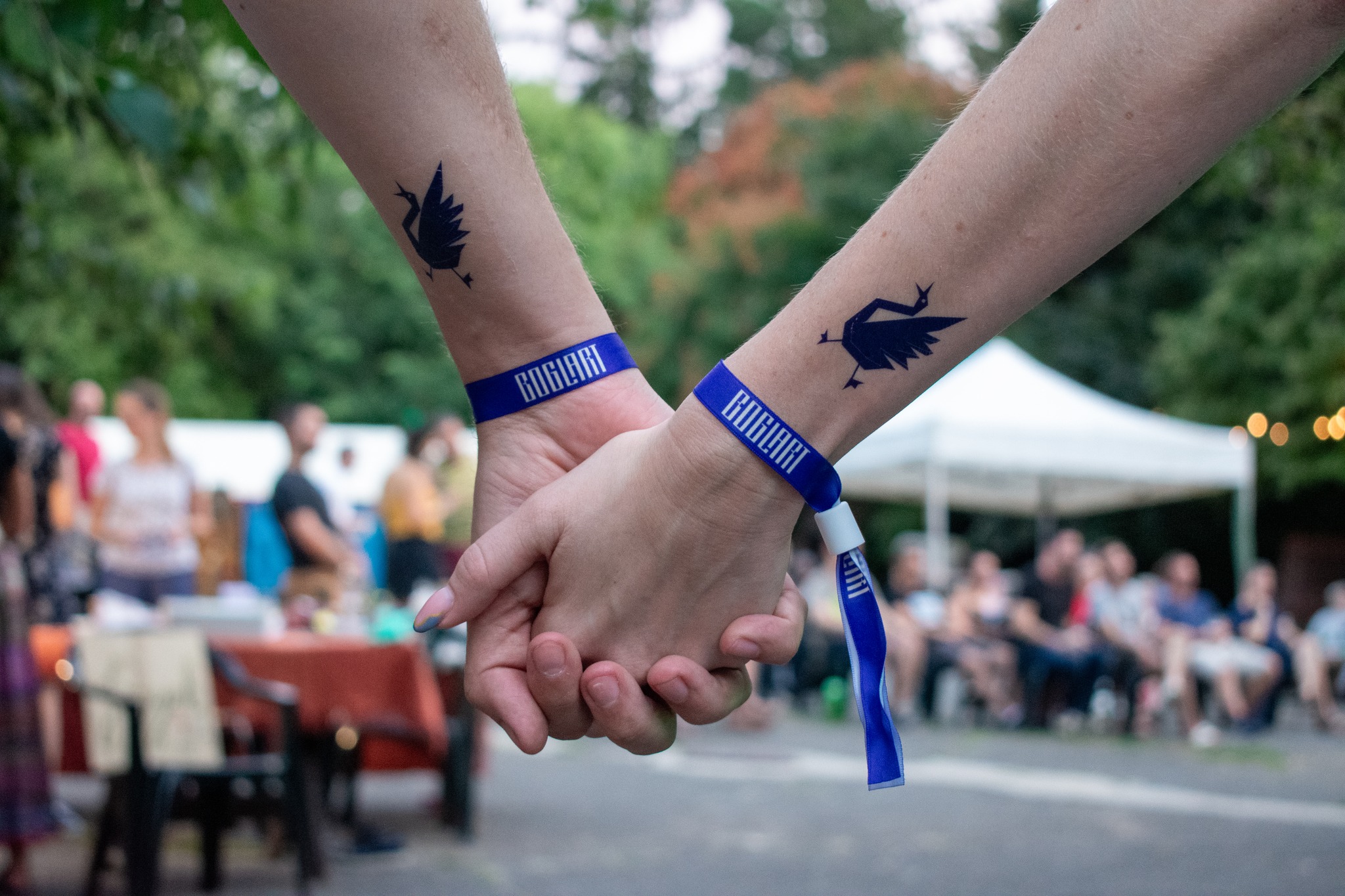 VI. Boglart világzenei fesztivál és tábor